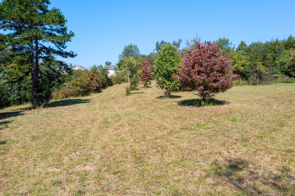 Photo #33: Tbd Bloomingdale Road