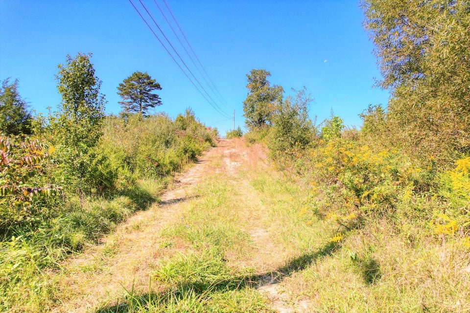 Photo #4: 1655 Millers Chapel Road