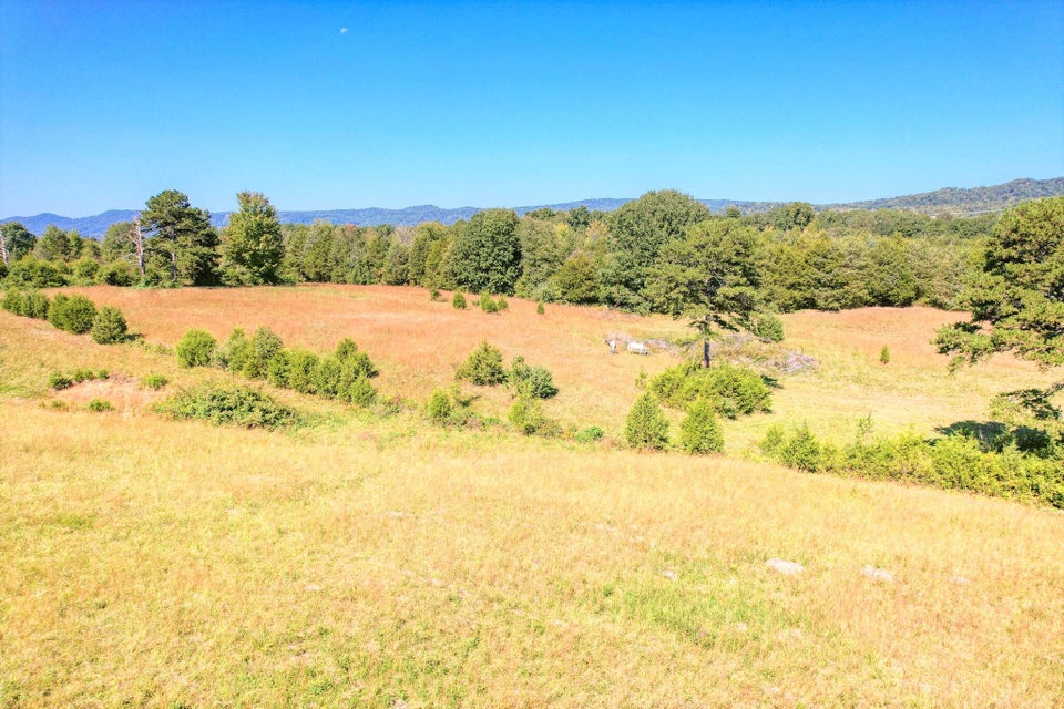 Photo #16: 1655 Millers Chapel Road