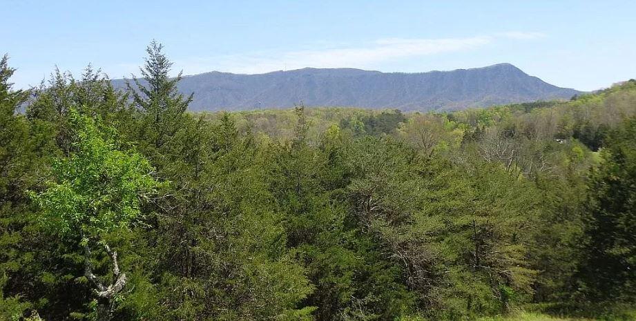 Photo #6: Lot 21 Caywood Road
