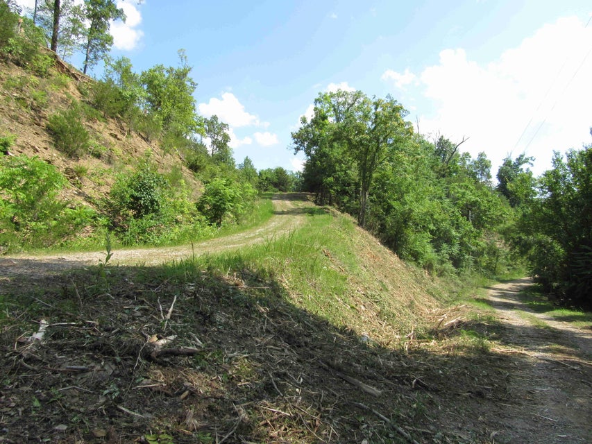 Photo #9: Lot 21 Caywood Road