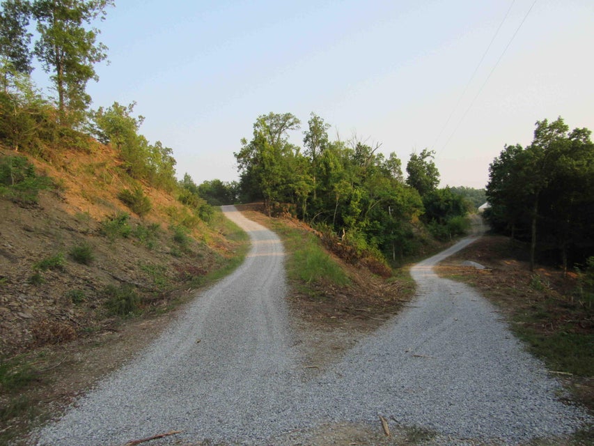Photo #11: Lot 21 Caywood Road