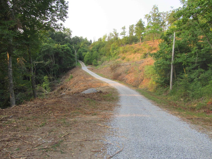 Photo #13: Lot 21 Caywood Road