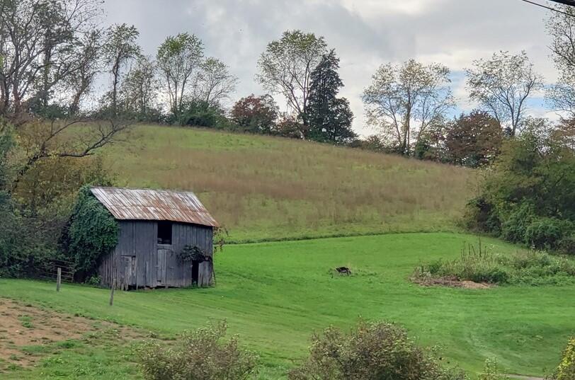 Photo #5: 19142 Benhams Road