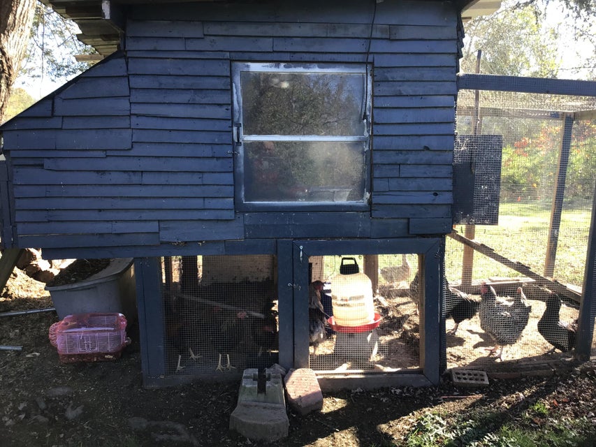 Photo #48: 12408 Edna Road