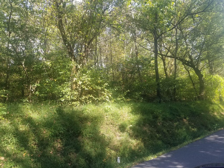 Photo #3: Tbd Seneker Lane