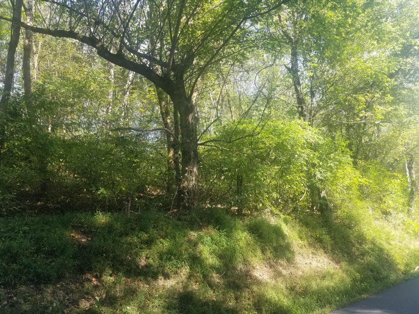 Photo #2: Tbd Seneker Lane