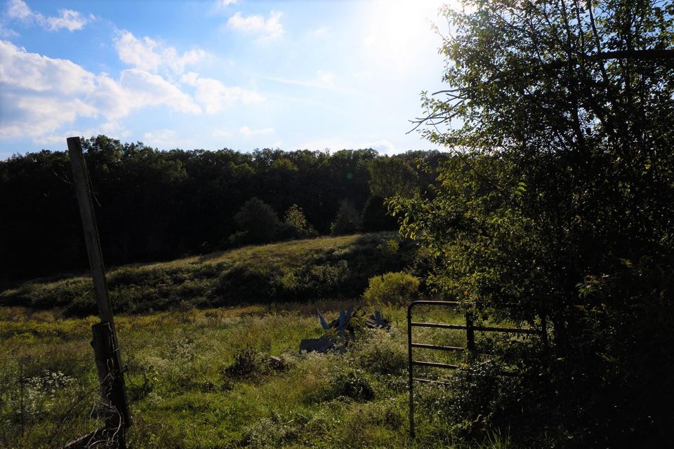 Photo #29: 2815 Ottway Road