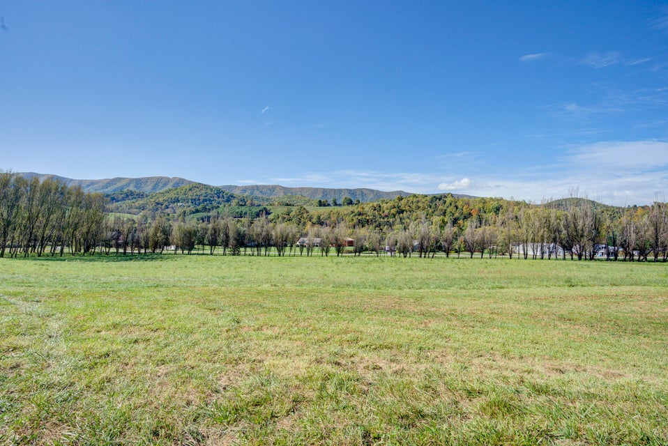 Photo #42: 10001 Hwy 67w