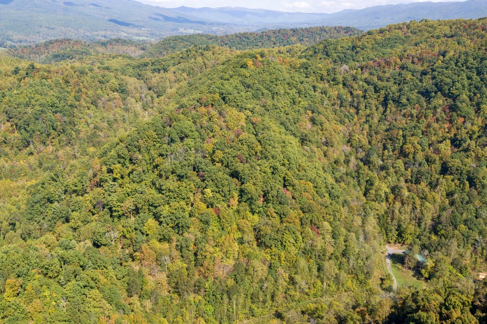 Photo #2: 000 Blue Springs Road