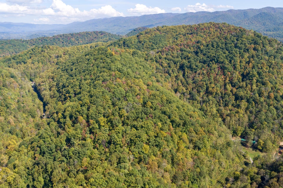 Photo #3: 000 Blue Springs Road