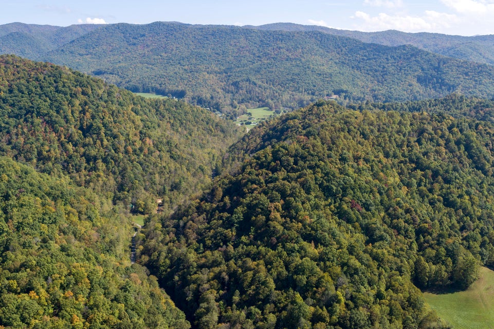 Photo #5: 000 Blue Springs Road