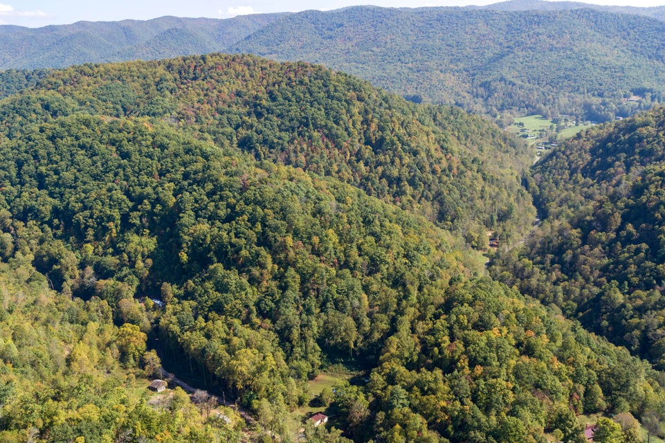 Photo #6: 000 Blue Springs Road