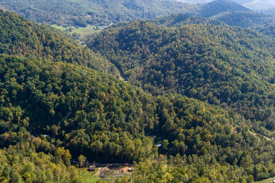 Photo #8: 000 Blue Springs Road