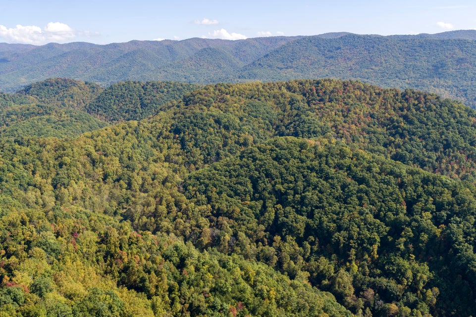 Photo #9: 000 Blue Springs Road