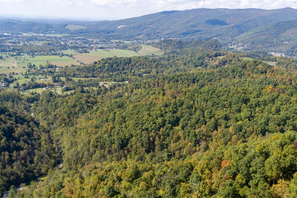 Photo #14: 000 Blue Springs Road