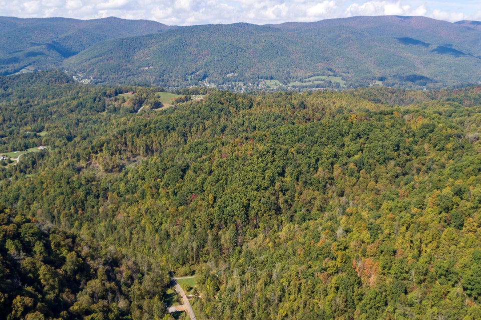 Photo #17: 000 Blue Springs Road