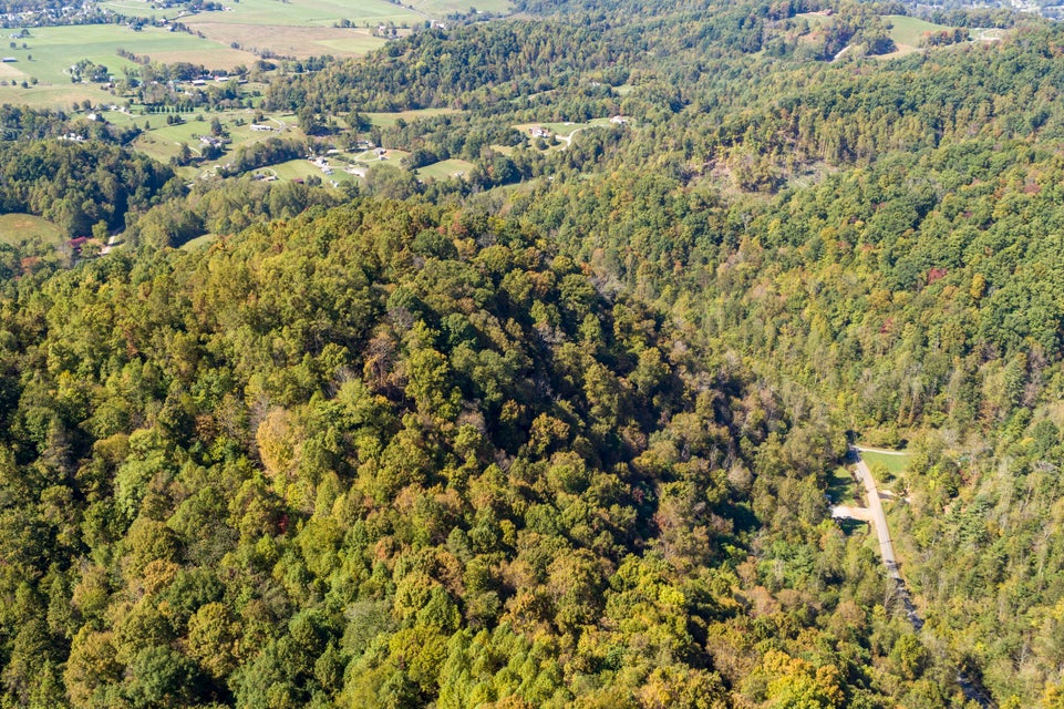 Photo #18: 000 Blue Springs Road