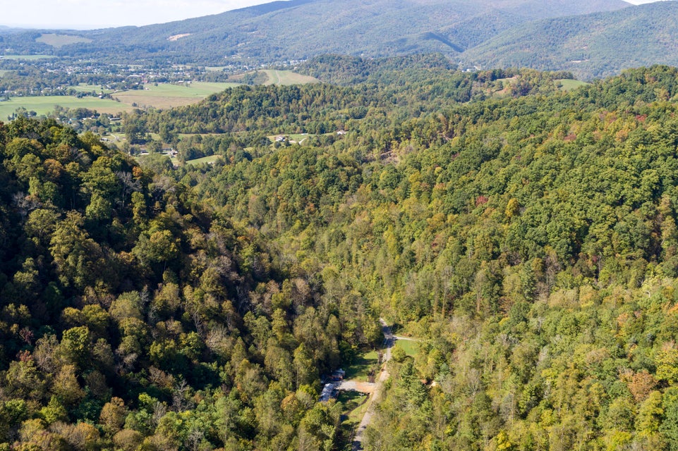 Photo #19: 000 Blue Springs Road