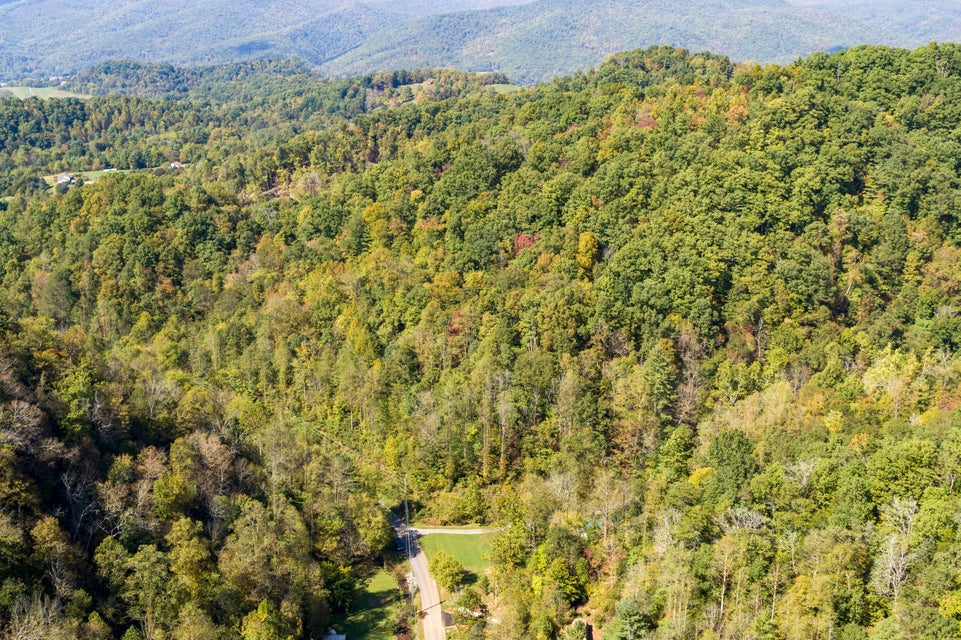 Photo #21: 000 Blue Springs Road