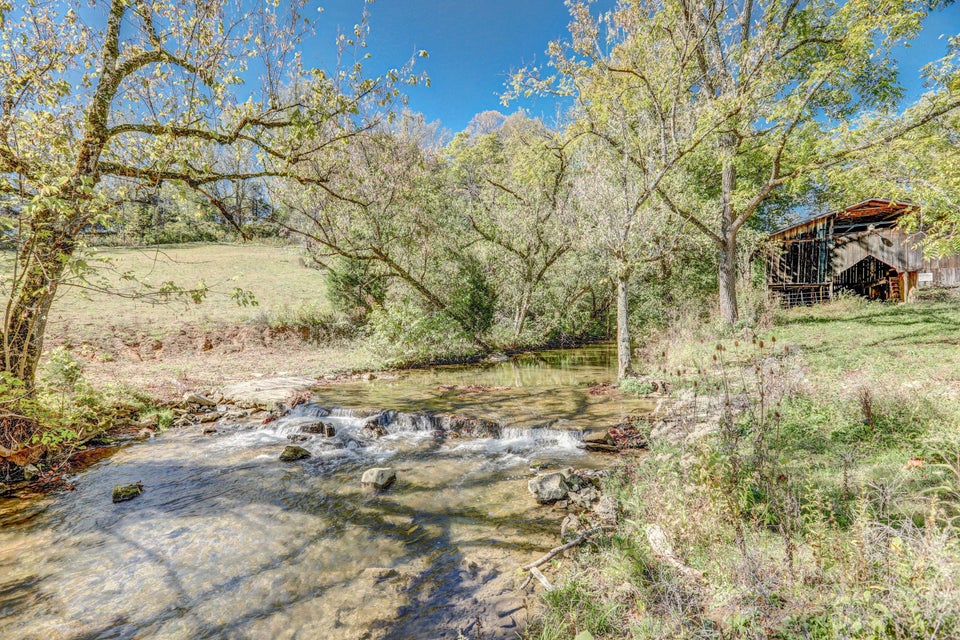 Photo #43: 3176 Highway 421