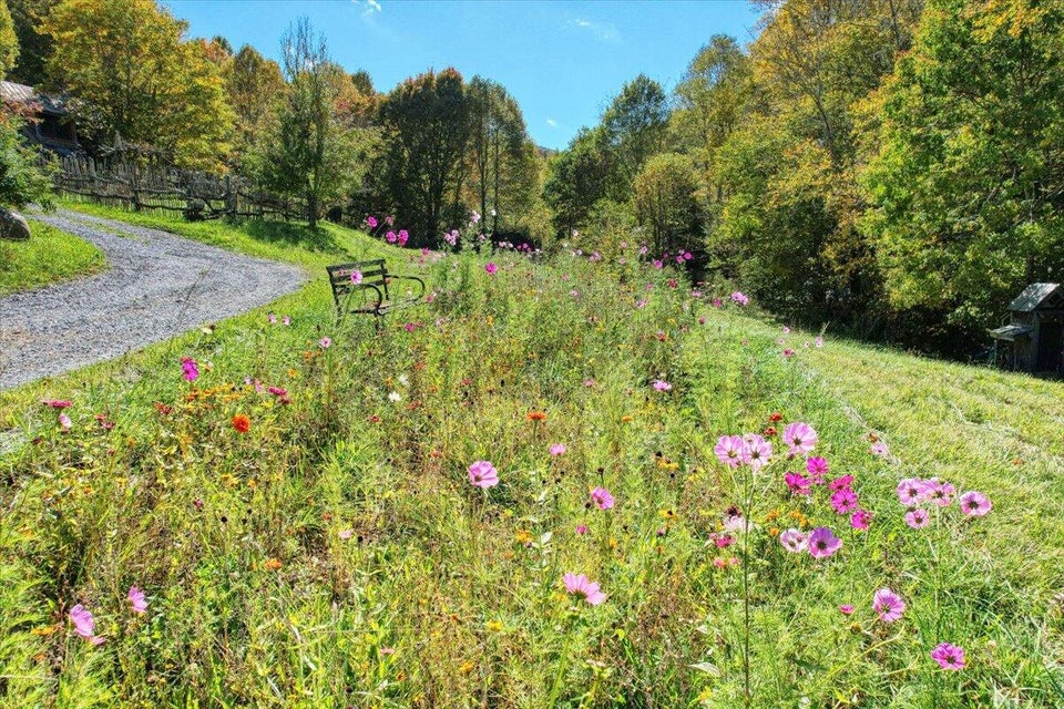 Photo #4: 102 & 100 Wildflower Trail