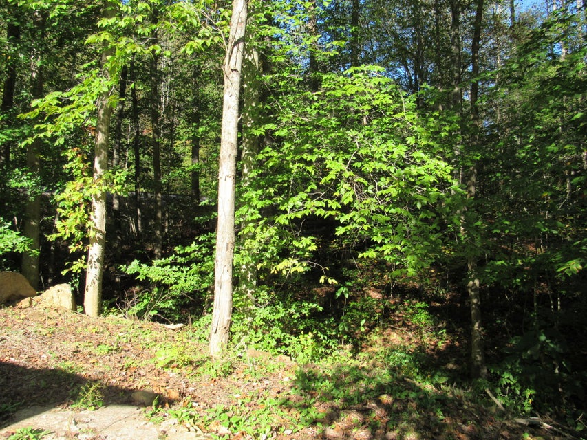 Photo #38: 2647 Hubbard Springs Road