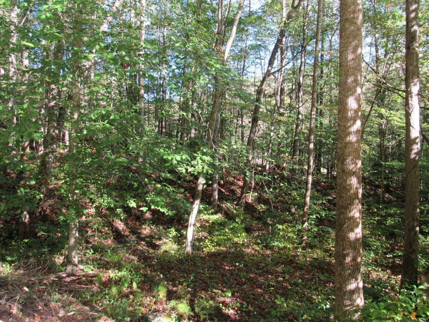 Photo #39: 2647 Hubbard Springs Road