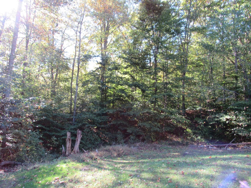 Photo #44: 2647 Hubbard Springs Road