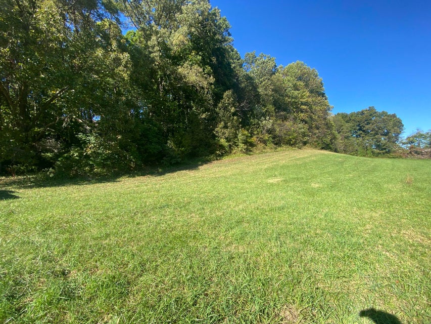 Photo #6: Tbd Stewart Road