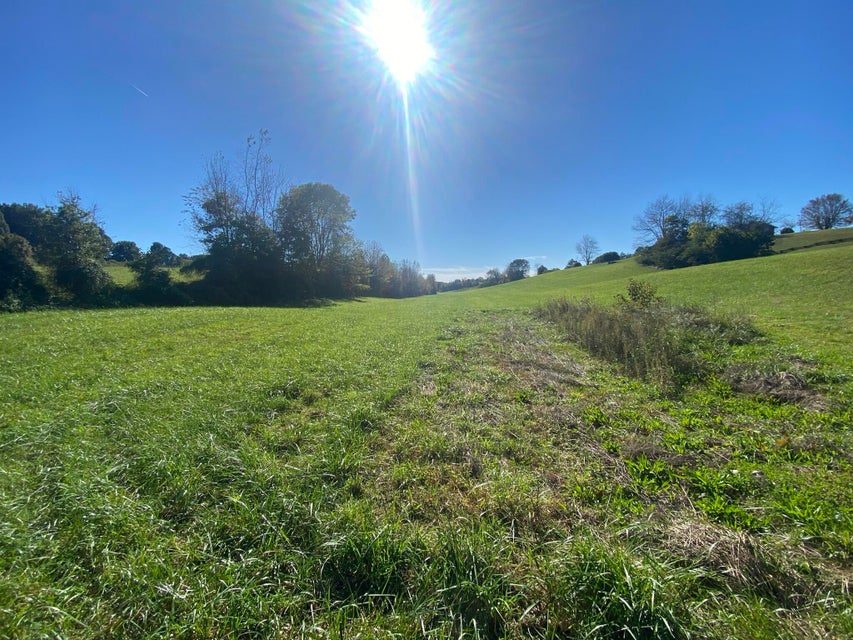 Photo #7: Tbd Stewart Road