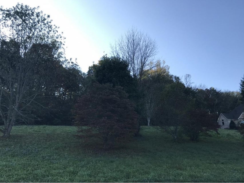 Photo #4: 148 Quail Creek Court