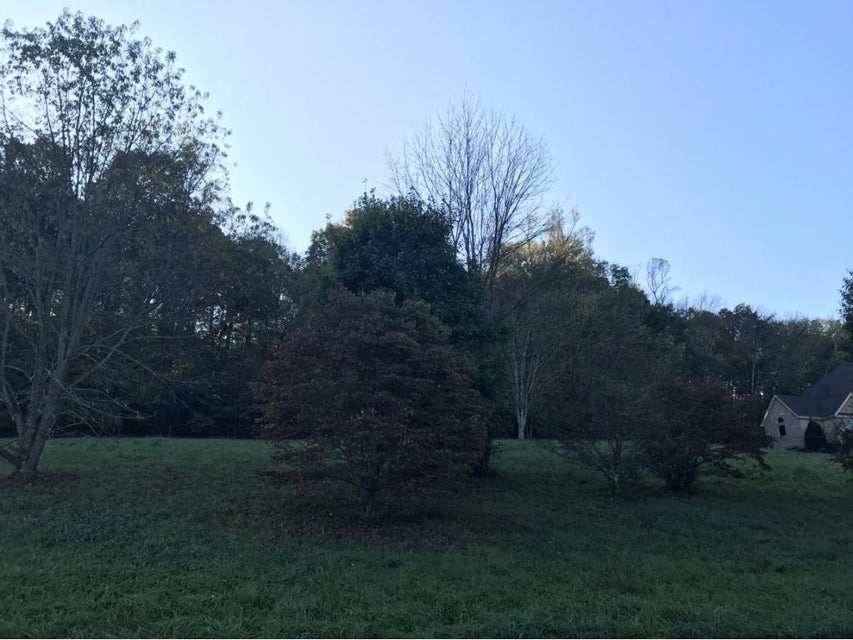 Photo #7: 148 Quail Creek Court