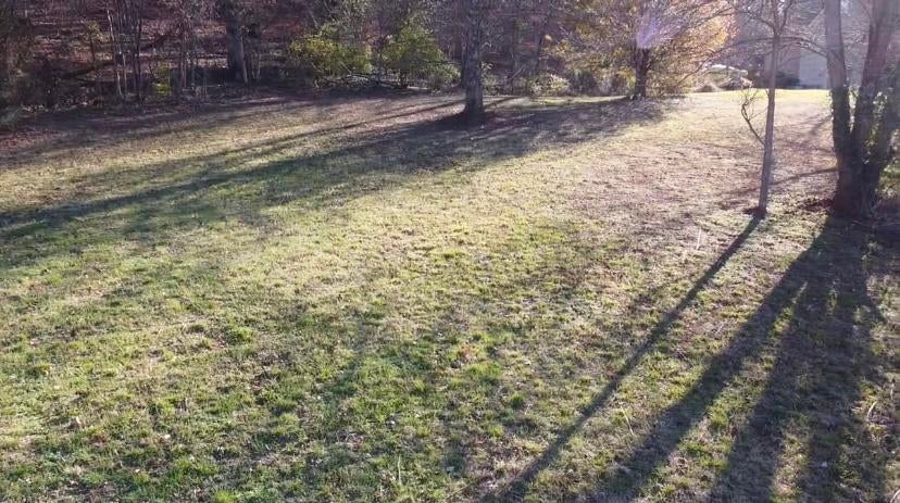 Photo #10: 148 Quail Creek Court