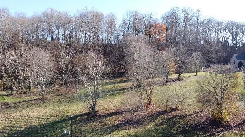 Photo #11: 148 Quail Creek Court