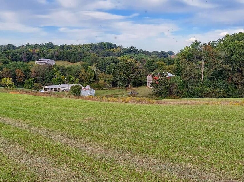 Photo #15: 1055 Gunter Corner Road