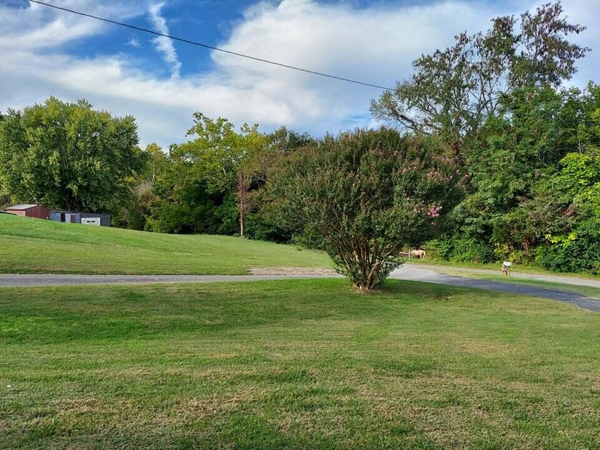 Photo #23: 1055 Gunter Corner Road