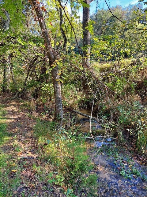 Photo #25: 1055 Gunter Corner Road