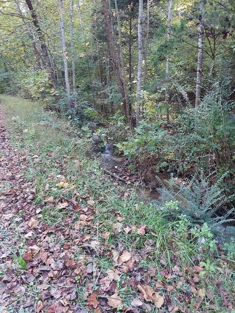 Photo #7: 30 Acres Gunter Corner Road