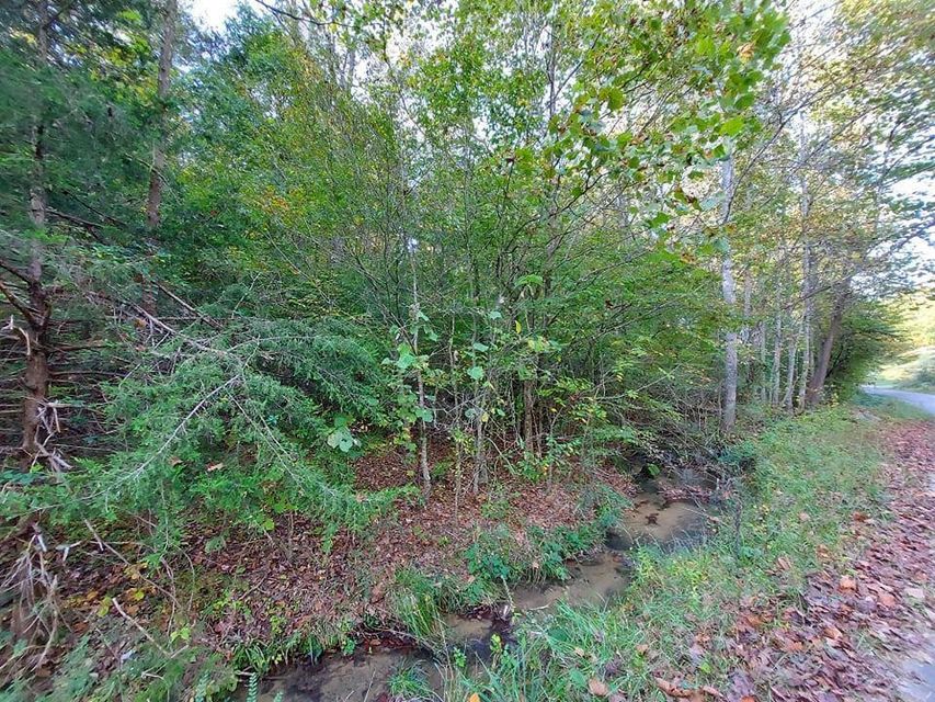 Photo #4: 30 Acres Gunter Corner Road