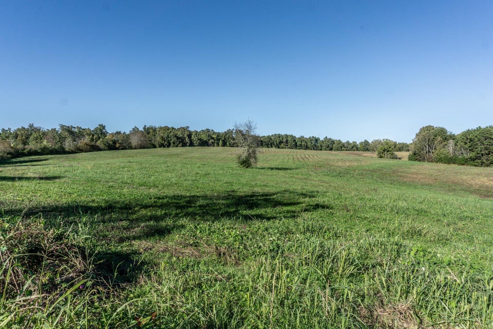Photo #7: 00 Orebank Road