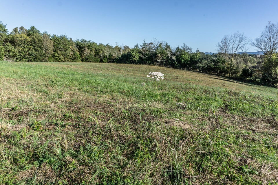 Photo #10: 00 Orebank Road