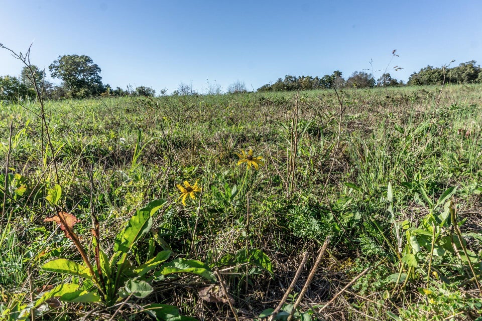 Photo #11: 00 Orebank Road