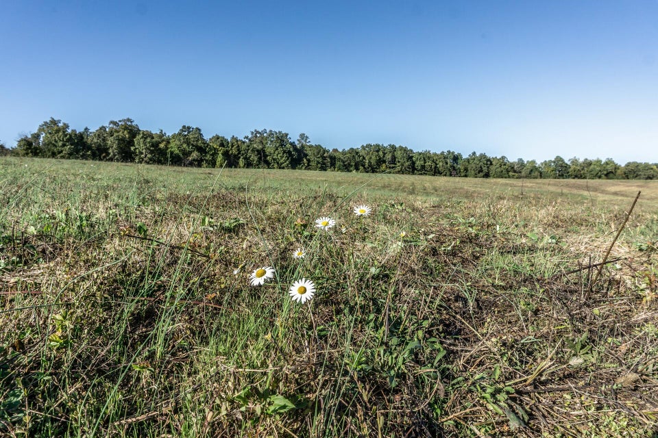 Photo #2: 00 Orebank Road