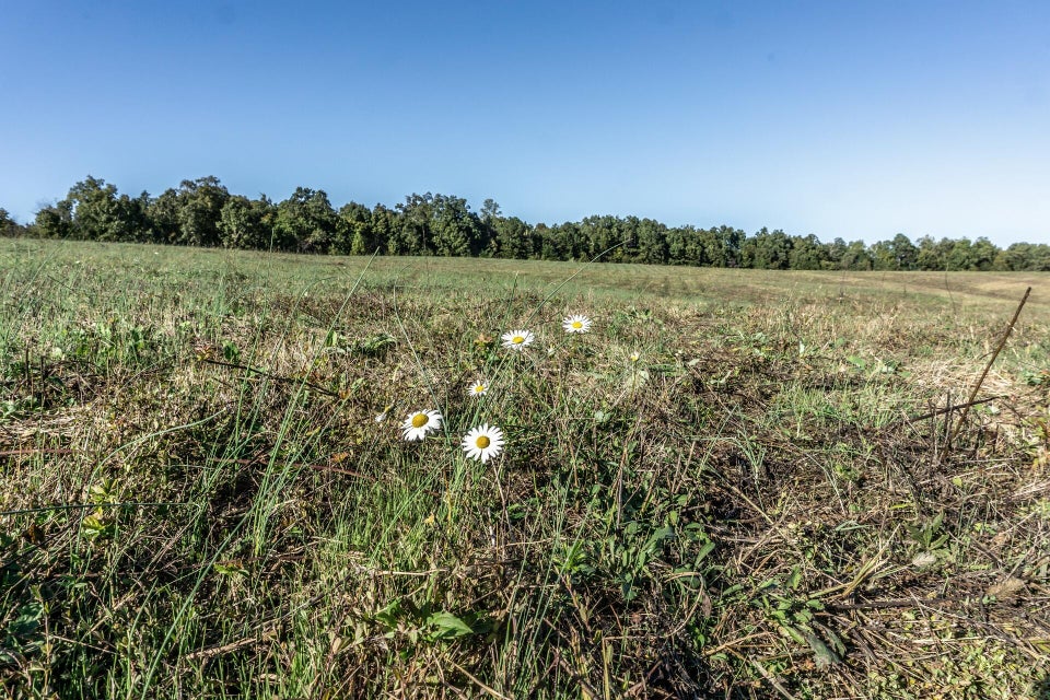 Photo #12: 00 Orebank Road