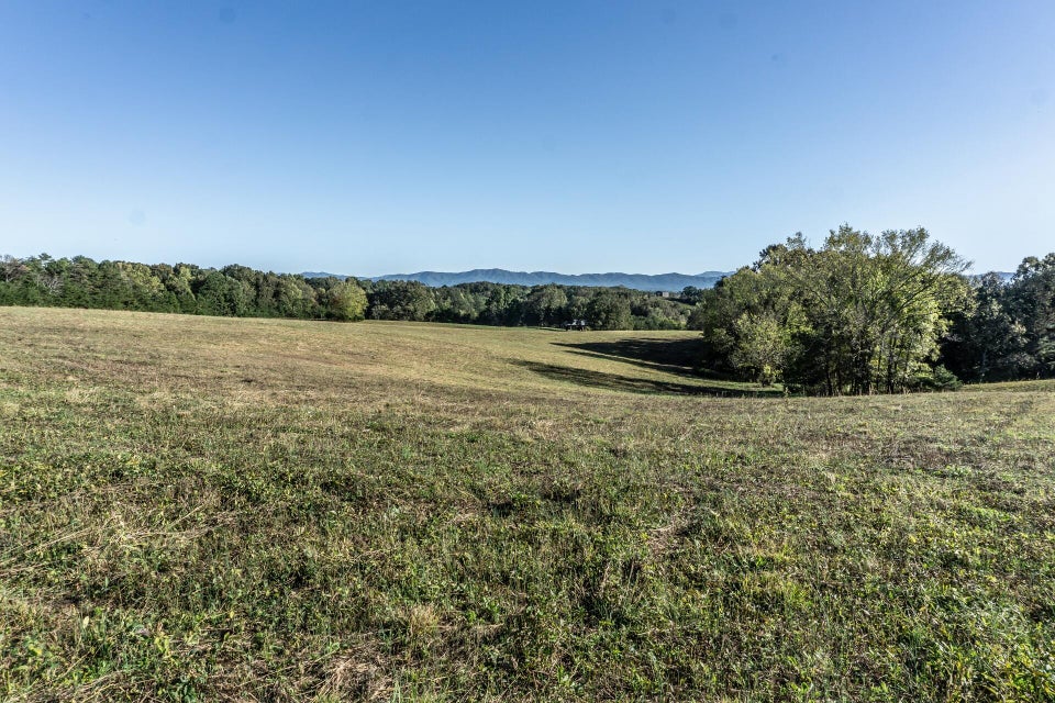 Photo #3: 00 Orebank Road