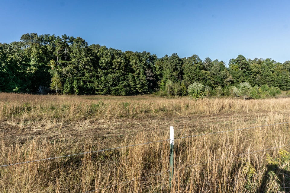Photo #16: 00 Orebank Road