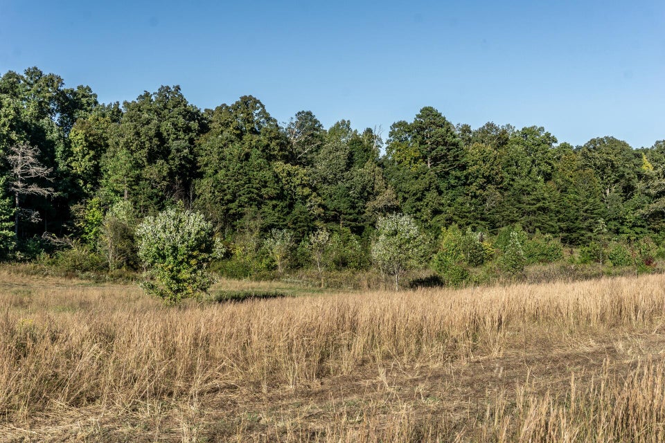 Photo #17: 00 Orebank Road