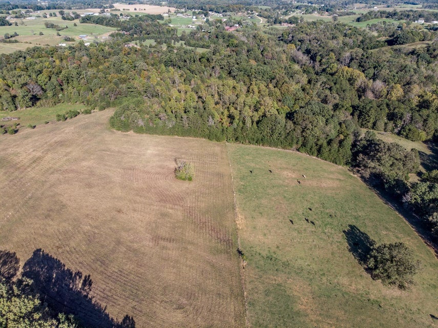 Photo #38: 00 Orebank Road