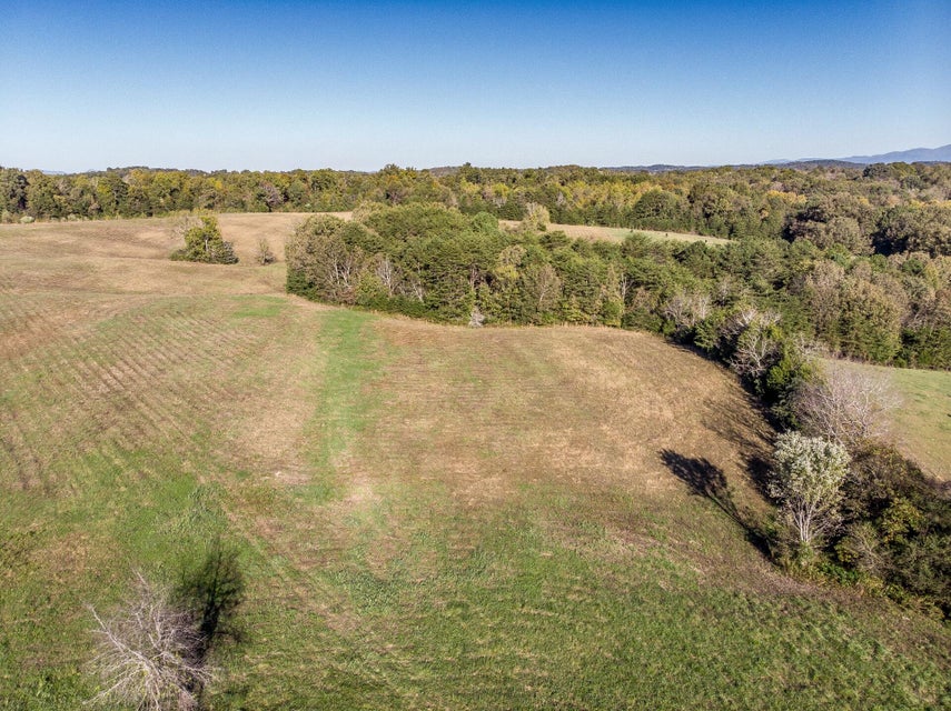 Photo #43: 00 Orebank Road